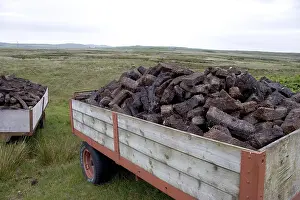 Peat Extraction Stampe: Peat is a basic addition of the distillery process and get exploited by hand on the Isle of Islay