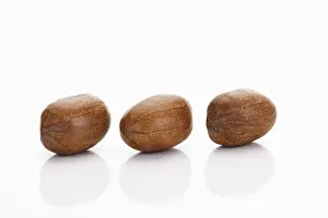 Nutrition Facts Pecans Stampe: Three pecan nuts