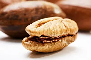 Studio Shot Of Pecans Stampe: Pecans