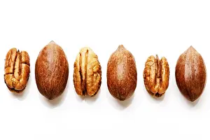 Nutrition Facts Pecans Stampe: Pecans with and without shells
