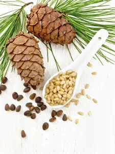 Wooden Board Background Stampe: Peeled kernels of cedar nuts in a spoon