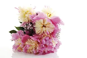 Rose Bouquet Stampe: Peonies