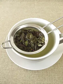 Fragrant Plant Images Stampe: Peppermint tea in a tea strainer