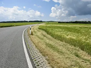 German Landscape Photography Stampe: Perfect road in landscape with fields