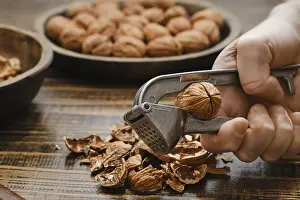 Male Chef Cooking Stampe: A person is cracking open a walnut using a metal nutcracker