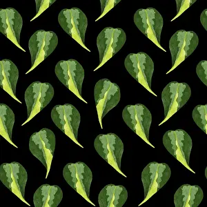 Indoor Leafy Plant Design Stampe: Philodendron seamless pattern