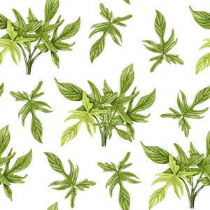 Decorative Indoor Leafy Plants Stampe: Philodendron seamless pattern