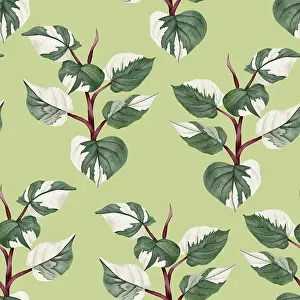 Piante In Vaso Stampe: Filodendro pattern senza soluzione di continuità.