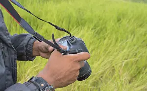 Young Photographer Stampe: Photographer checking his camera