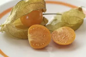 Physalis Fruit Stampe: Physalis