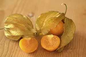 Physalis Fruit Stampe: Physalis