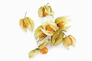 Balanced Diet Foods Stampe: Physalis