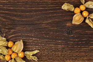 Agricultural Produce Stampe: Physalis background with copyspace