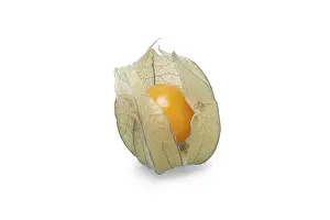 Exotic Fruit Images Stampe: One physalis with shadow on white background
