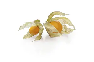 Fruit Photography Stampe: Two physalis with shadow on white background