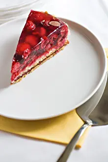 Sweet Treats Studio Shot Stampe: A piece of raspberry pie