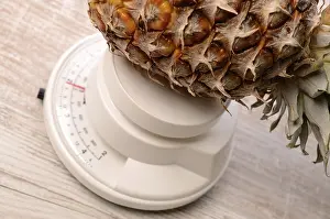Stampe di Pera d'anguria su una scala Scala Ananas Stampe: Pera d'anguria su una scala