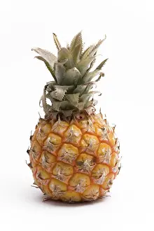 Exotic Fruit Images Stampe: Pineapple