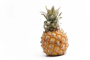 Pineapple Nutrition Stampe: Pineapple