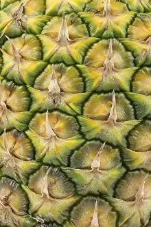 Exotic Food Photography Stampe: Pineapple as a background