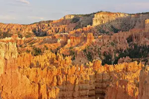 American Nature Reserve Stampe: Pinnacles in the evening light