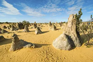The Pinnacles Limestone Formations Stampe: The Pinnacles limestone formations