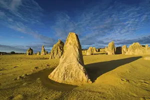 The Pinnacles Limestone Formations Stampe: The Pinnacles limestone formations