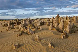 Western Australian Desert Landscape Stampe: The Pinnacles limestone formations
