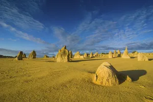 Australian Nature Reserves Stampe: The Pinnacles limestone formations
