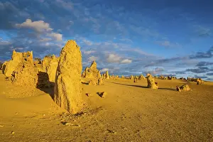 The Pinnacles Limestone Formations Stampe: The Pinnacles limestone formations