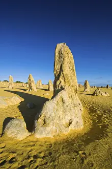 The Pinnacles Limestone Formations Stampe: The Pinnacles limestone formations