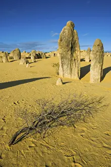 Desert Landscape Photography AUSTRALIA Stampe: The Pinnacles limestone formations