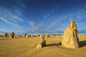 The Pinnacles Limestone Formations Stampe: The Pinnacles limestone formations