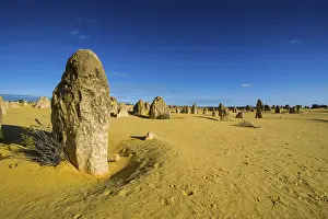 Western Australian Desert Landscape Stampe: The Pinnacles limestone formations
