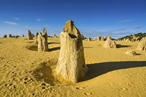 Australian Desert Landscape Photography Stampe: The Pinnacles limestone formations