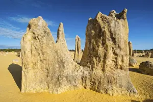 Western Australian Desert Landscape Stampe: The Pinnacles limestone formations