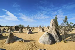 Western Australian Desert Landscape Stampe: The Pinnacles limestone formations