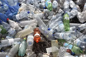 Plastic Waste Pollution Stampe: Empty plastic bottles