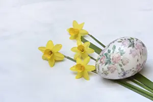 Spring Awakening Stampe: Plastic easter egg and daffodil, Easter