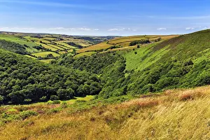 Exmoor National Park Stampe: Plateau with valleys and fields