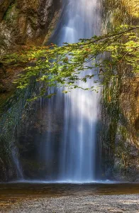 Rocky Waterfalls Europe Stampe: Plotz waterfall, natural monument