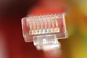 Coloured Network Cables Stampe: Plug of a coloured network cables for computer