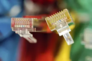 Coloured Network Cables Stampe: Two plugs of a coloured network cables for computer
