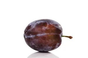 Vitamin Rich Plums Stampe: Plum