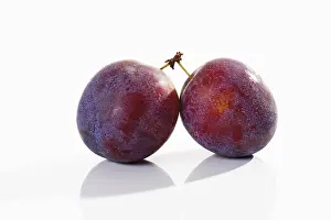 Stone Fruit Photography Stampe: Plums