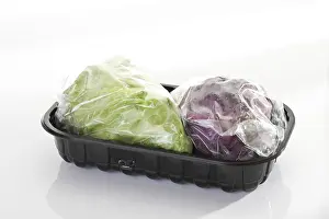 Green Leafy Vegetables Stampe: Pointed cabbage packaged for the microwave