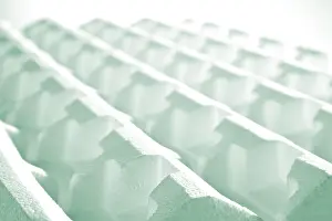 Detailed Still Life Image Stampe: Polystyrene structure