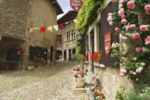 Medieval Fortresses Stampe: Cobblestone street, medieval walled town of Perouges
