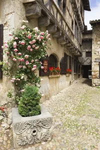 Medieval Architecture In France Stampe: Cobblestone street, medieval walled town of Perouges