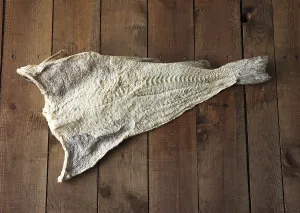 Bony Fishes Stampe: Cod, Codfish, Other animals, Fish